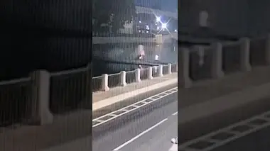 لحظة سقوط سيارة في النهر! فتاة تلقى حتفها وسائقة "مخمورة" خلف القضبان